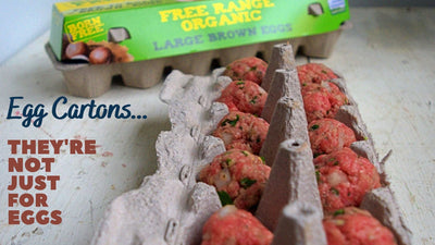 50 Things to Use Egg Cartons For Besides Eggs