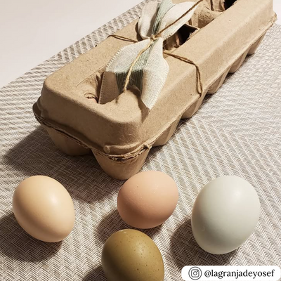 Natural 12-Egg Open paper pulp customizable egg carton