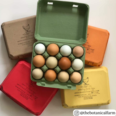 Green, natural, yellow, orange, and red vintage style egg cartons with custom printing