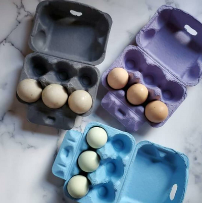 6-egg Colored Egg Cartons