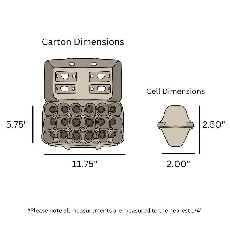 Digital rendering, dimensions, egg carton, 18 egg, pulp