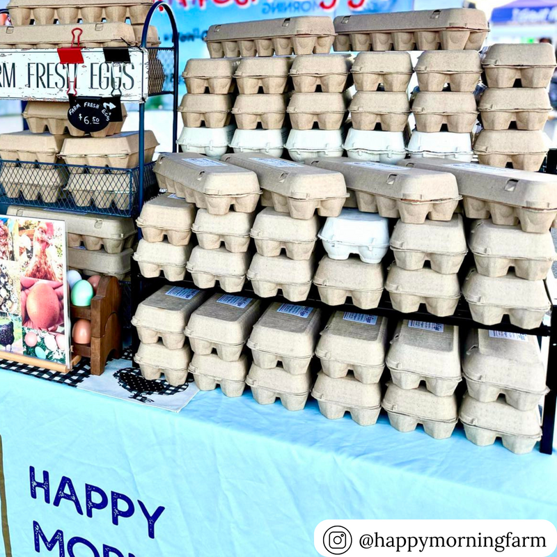 Wholesale unprinted natural pulp flat top egg cartons at a farmstand