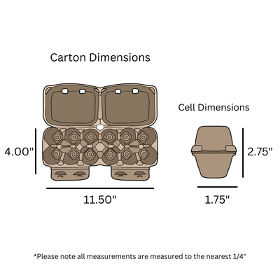 digital rendering, 6-egg split printed carton dimensions