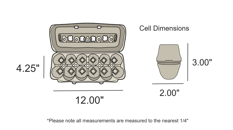 12-Egg Jumbo Printed Carton Dimensions