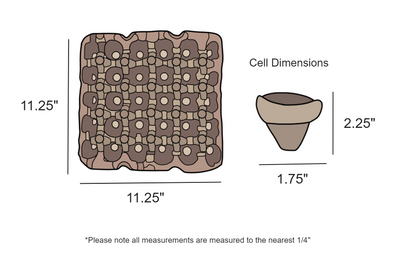 digital rendering, 20 cell 4x5 natural egg tray dimensions