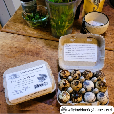 12-cell natural pulp egg carton for quail eggs. Sturdy carton suitable for commercial farming 