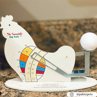 Incredible egg scale for accurately weighing eggs, bulk wholesale