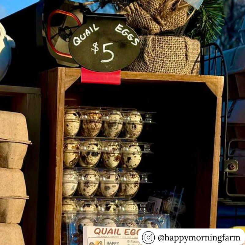 12-egg split plastic quail cartons at a farmers market