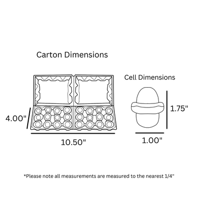 12-Egg Split Quail Dimensions