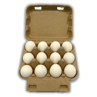 Flat Top Bird Egg Carton - Holds one dozen - Bulk Pricing