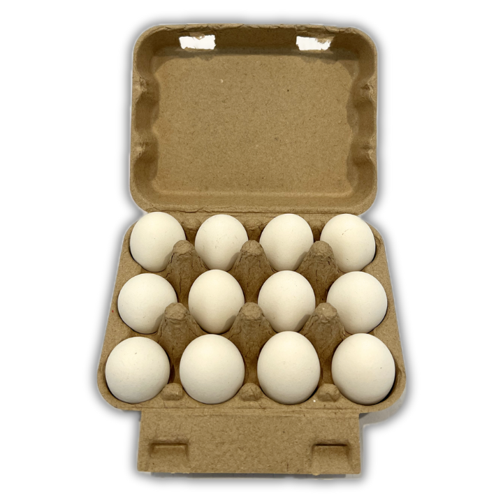 Flat Top Bird Egg Carton - Holds one dozen - Bulk Pricing