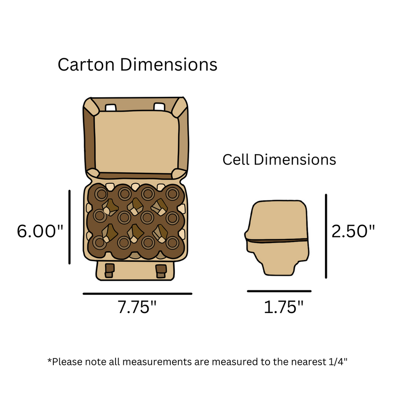 Digital rendering, egg carton dimensions, vintage, natural pulp, unprinted