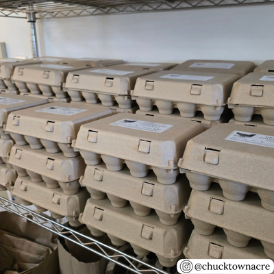 Wholesale quantities of 12-cell 3 by 4 vintage egg cartons in natural paper pulp