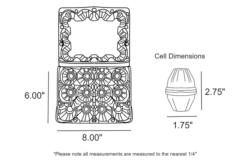 Digital rendering of 12-Egg Plastic Carton Dimensions