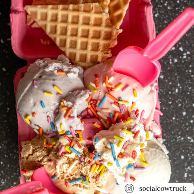 4-Cell pink pulp egg carton used for ice cream flights
