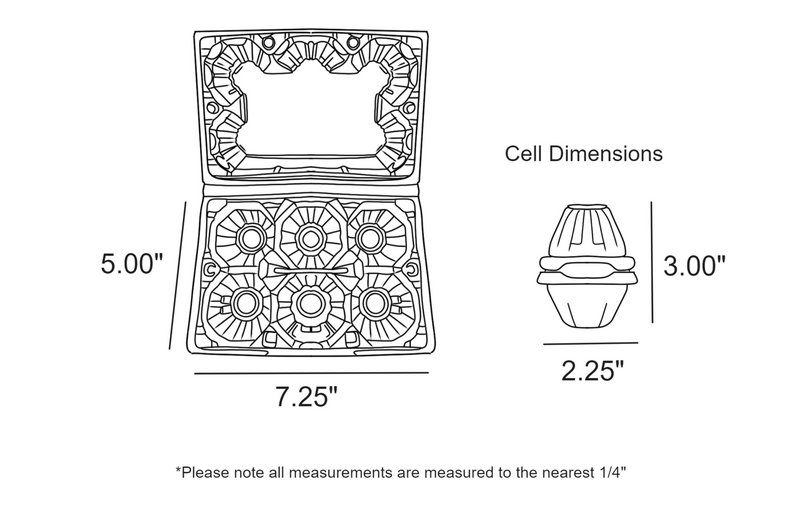 digital rendering of the 6 egg duck plastic carton demensions