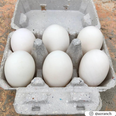 Recyclable natural study duck egg carton, unprinted