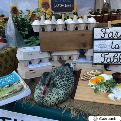 Farmer's market 6-egg duck cartons, bulk pallet pricing