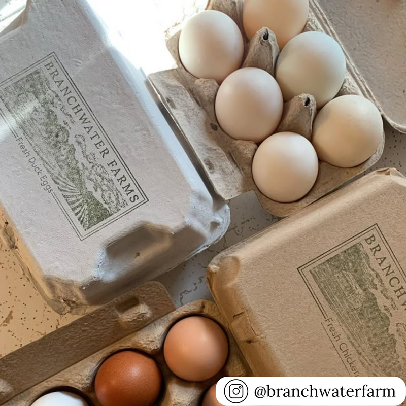 6-egg custom printed duck egg carton for hobby and commercial farming
