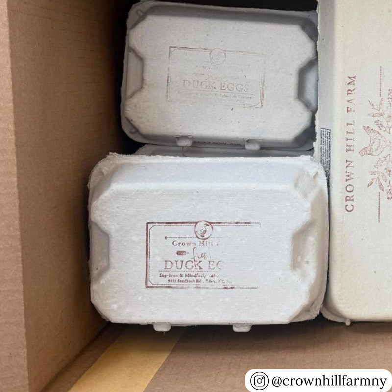 Sturdy White duck egg cartons, hold 6 eggs