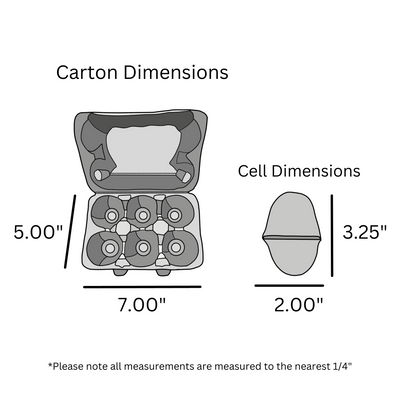 digital rendering of 6-egg duck pulp carton dimensions