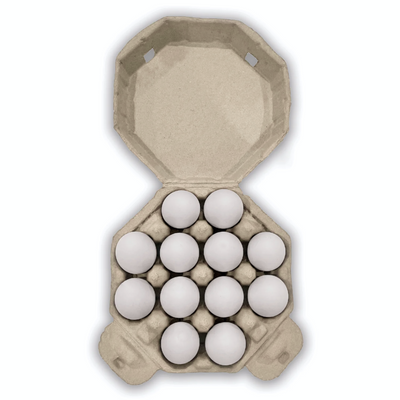 12-egg octagon pulp carton open with eggs (light)