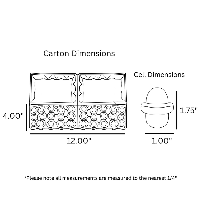 Digital rendering, egg carton dimensions, 15 cell, quail egg carton