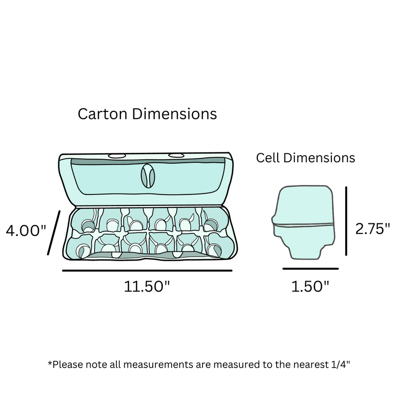 Digital rendering, dimensions, egg carton, foam, aqua