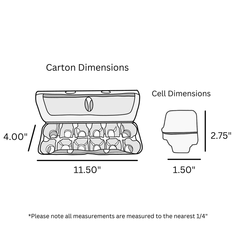 Digital rendering, egg carton dimensions, white foam unprinted