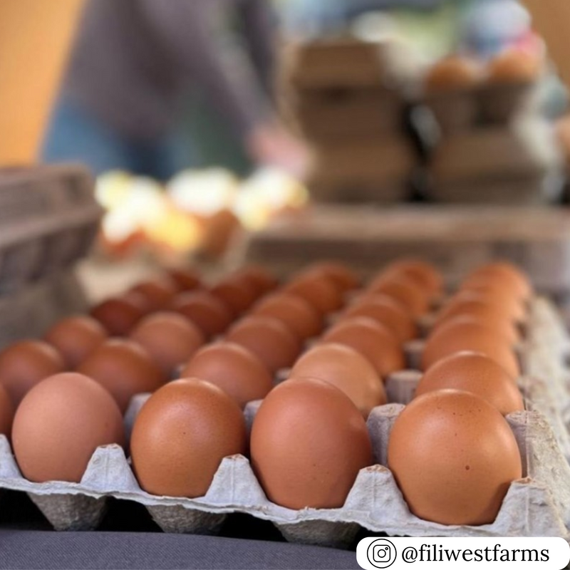 Natural pulp trays filled with brown egg, 30 cell, bulk pallet pricing