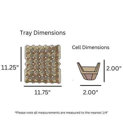 digital rendering, 30 cell egg tray dimensions, natural pulp 