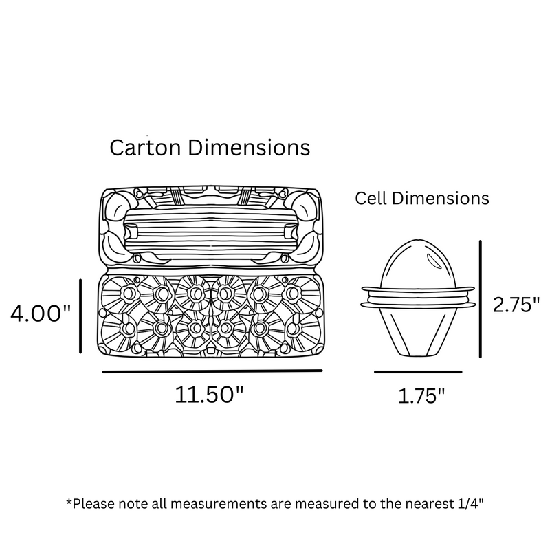 12 Egg Flat top Ovotherm Plastic Carton Dimensions