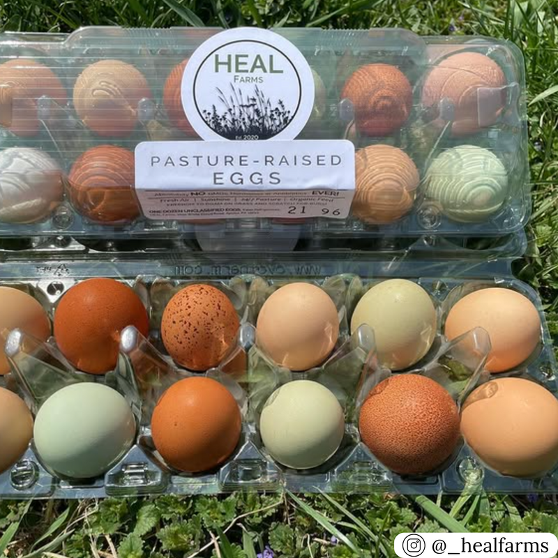 Clear plastic unlabeled egg carton with 12 cells, bulk pricing and quantities available
