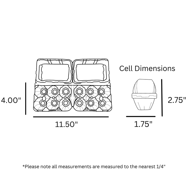 6-Egg Split, Ovotherm carton dimensions