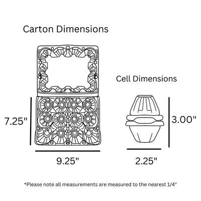 Plastic egg cartons dimensional drawing