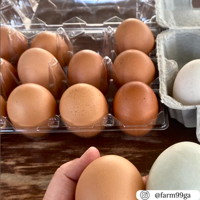 Plastic 18-egg ovotherm egg carton, wholesale quantities and pricing