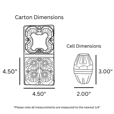 digital rendering of a clear plastic, 4-cell egg carton