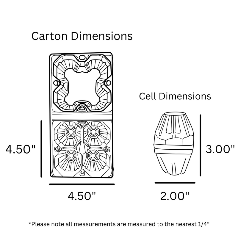 digital rendering of a clear plastic, 4-cell egg carton