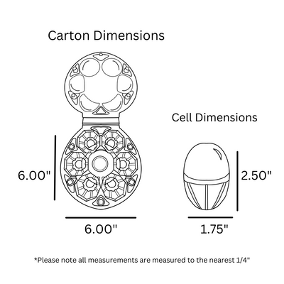 digital rendering, 6-egg starpack carton dimensions