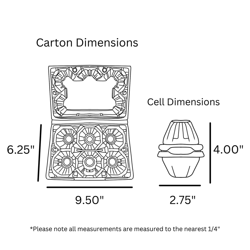 digital rendering of the 6 egg goose plastic carton dimensions