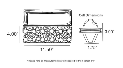 Digital rendering, plastic 12-egg carton dimensions