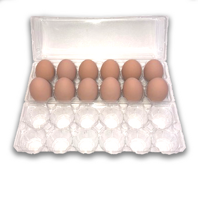 Jumbo Unlabeled 12-Egg tri-fold plastic carton