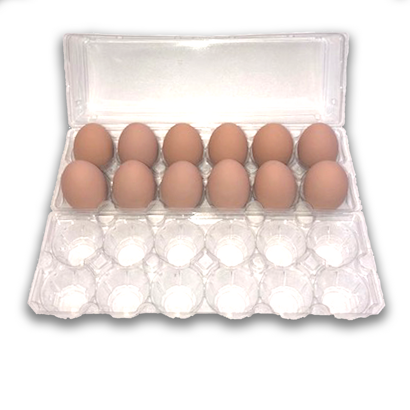 Jumbo Unlabeled 12-Egg tri-fold plastic carton