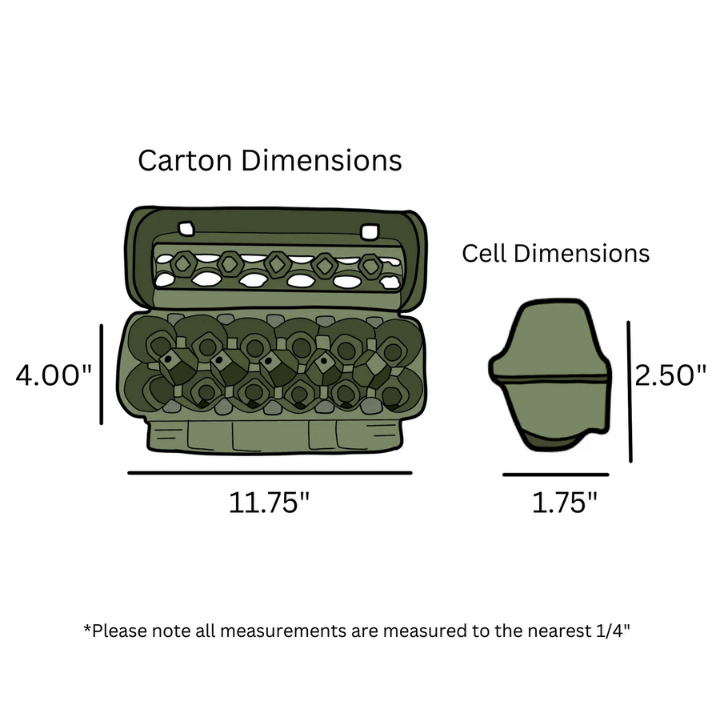 Army green 12-cell egg cartons digitally rendered dimensions