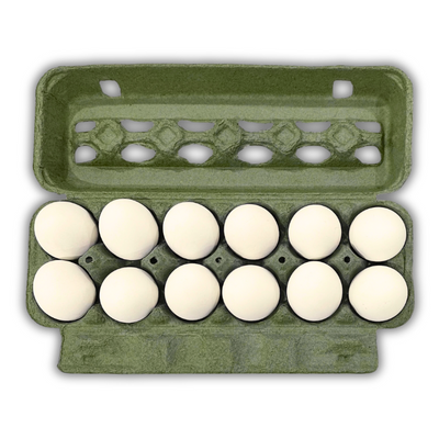 12-cell army green pulp egg carton open view