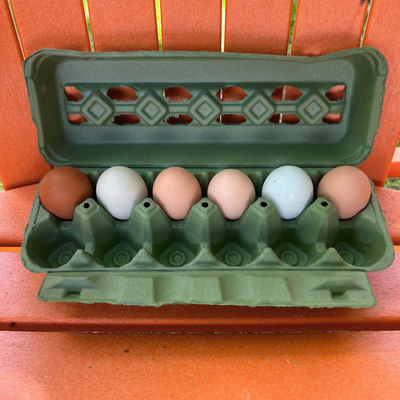 Unique egg packaging, army green blank 12-ell carton