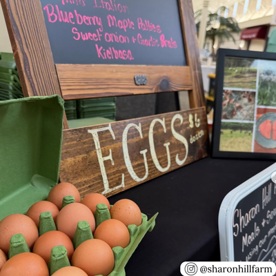 Army green vintage style carton of eggs with a wooden sign labeled 'EGGS' and a chalkboard menu in the background