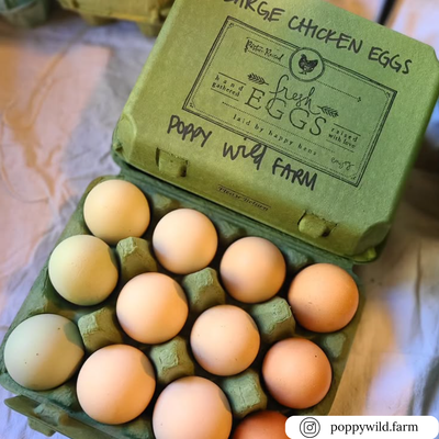 3x4 vintage pulp army green egg carton with custom printing