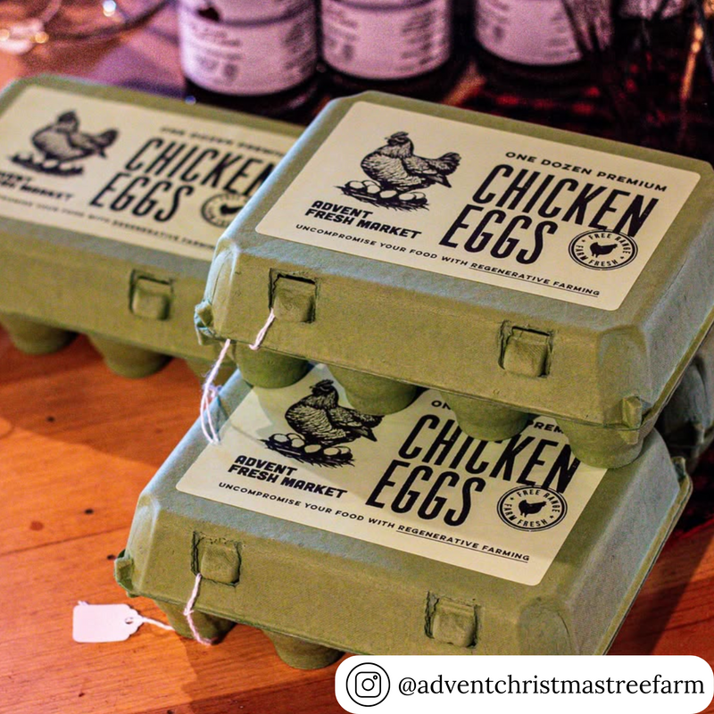 Stacked army green vintage egg cartons custom labeled “Chicken Eggs”