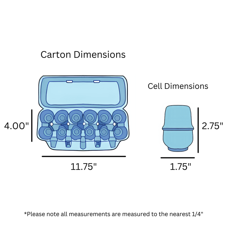 Diagram showing dimensions of a baby blue carton and cells with measurements in inches.